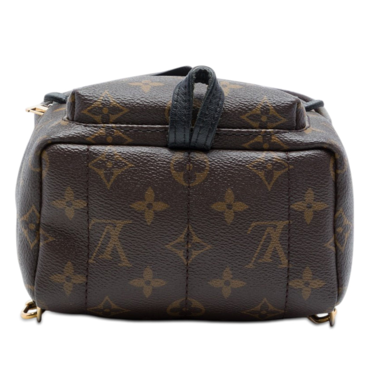 Louis Vuitton Monogram Mini Palm Springs