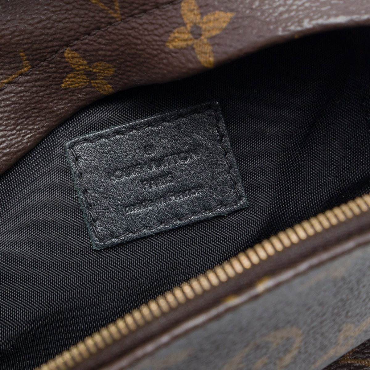Louis Vuitton Monogram Mini Palm Springs