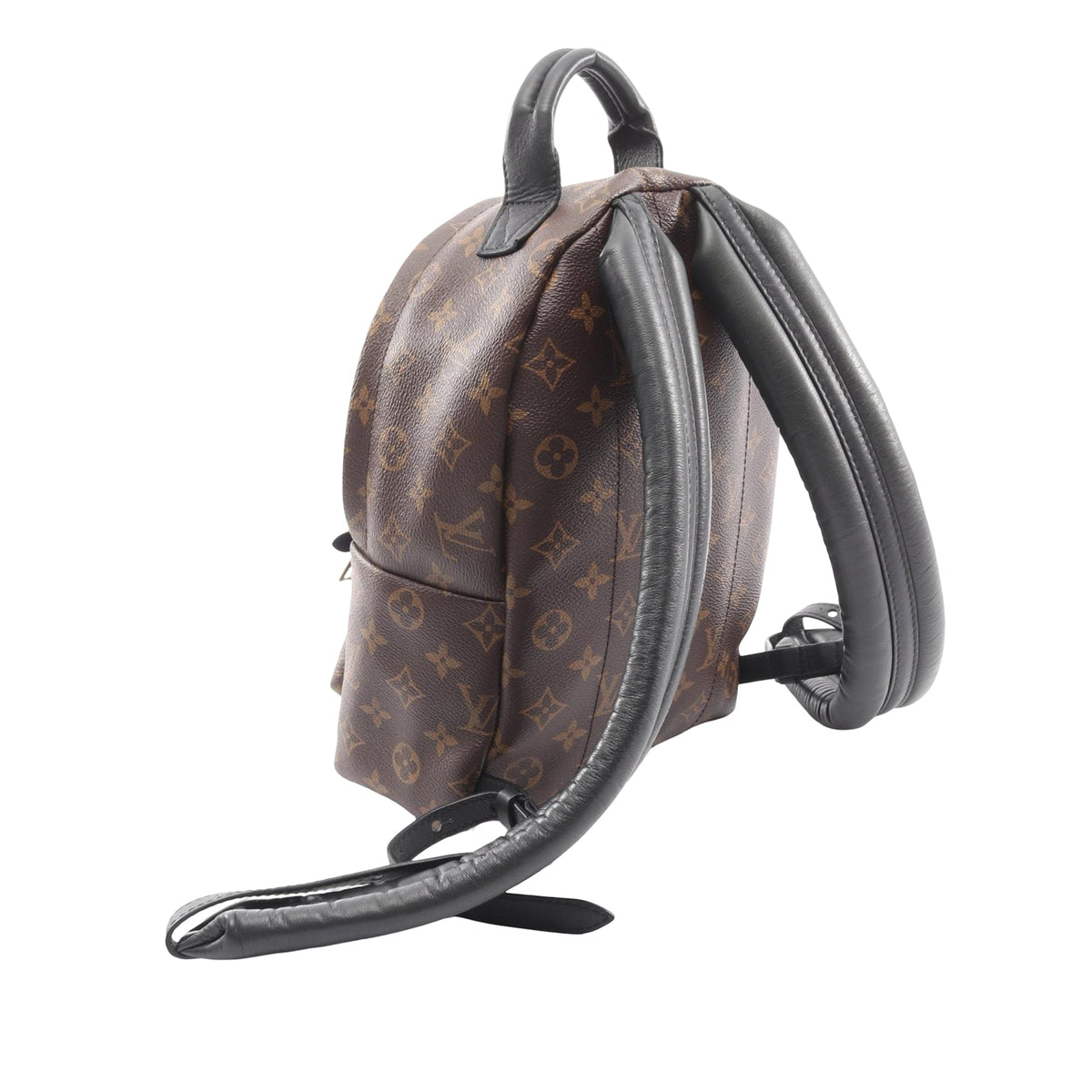 Louis Vuitton Monogram Palm Springs PM
