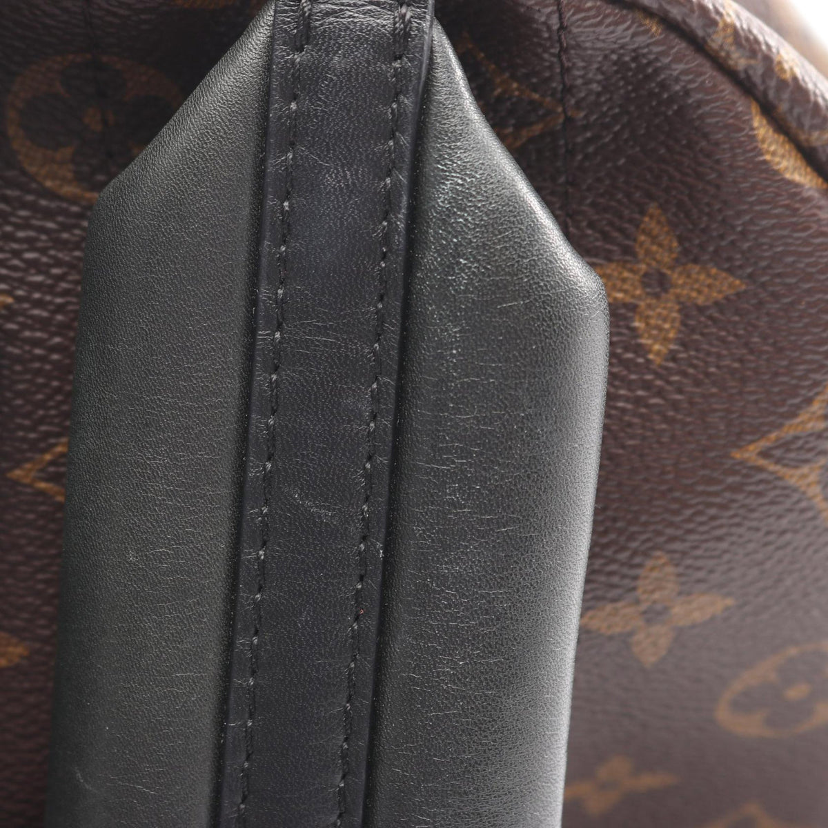 Louis Vuitton Monogram Palm Springs PM