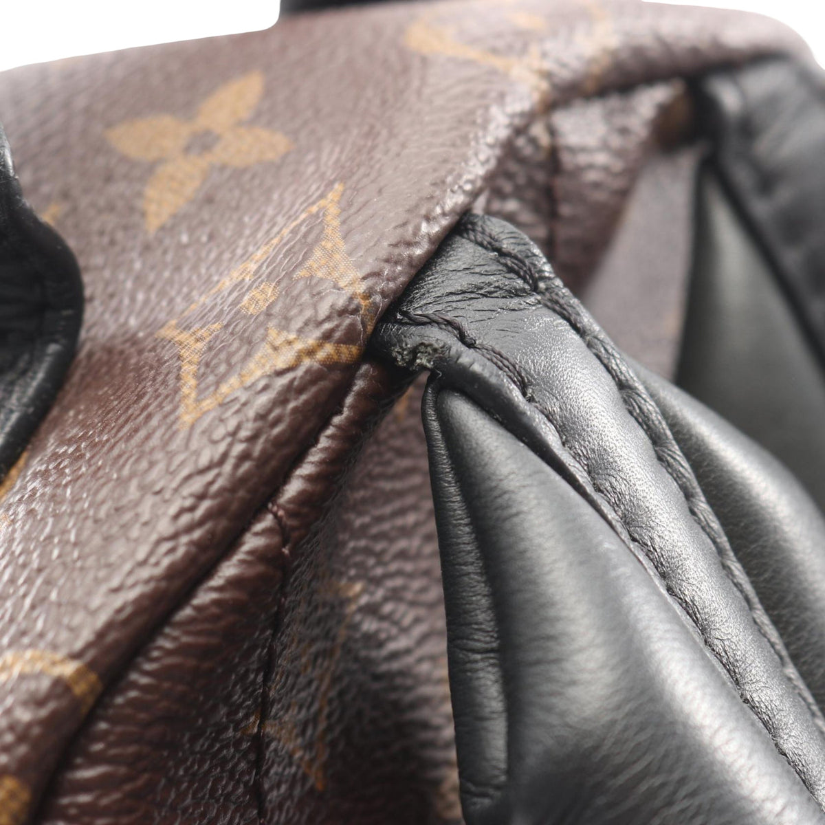 Louis Vuitton Monogram Palm Springs PM