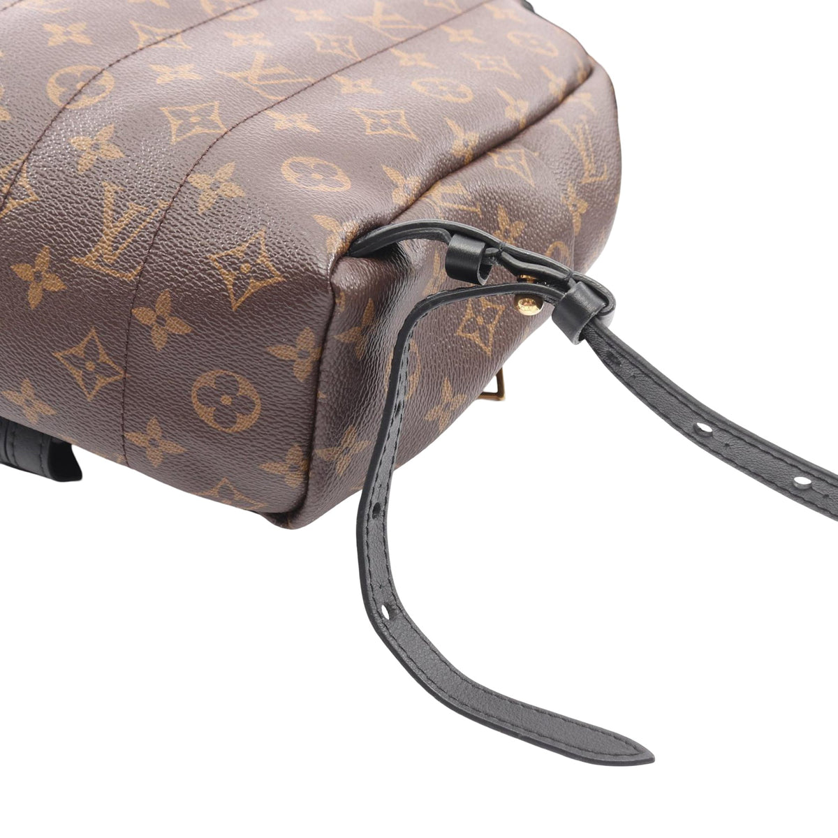 Louis Vuitton Monogram Palm Springs PM