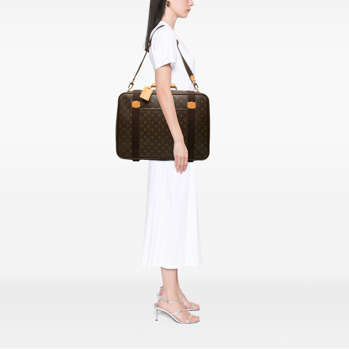 Louis Vuitton Monogram Satellite 53 — Brown