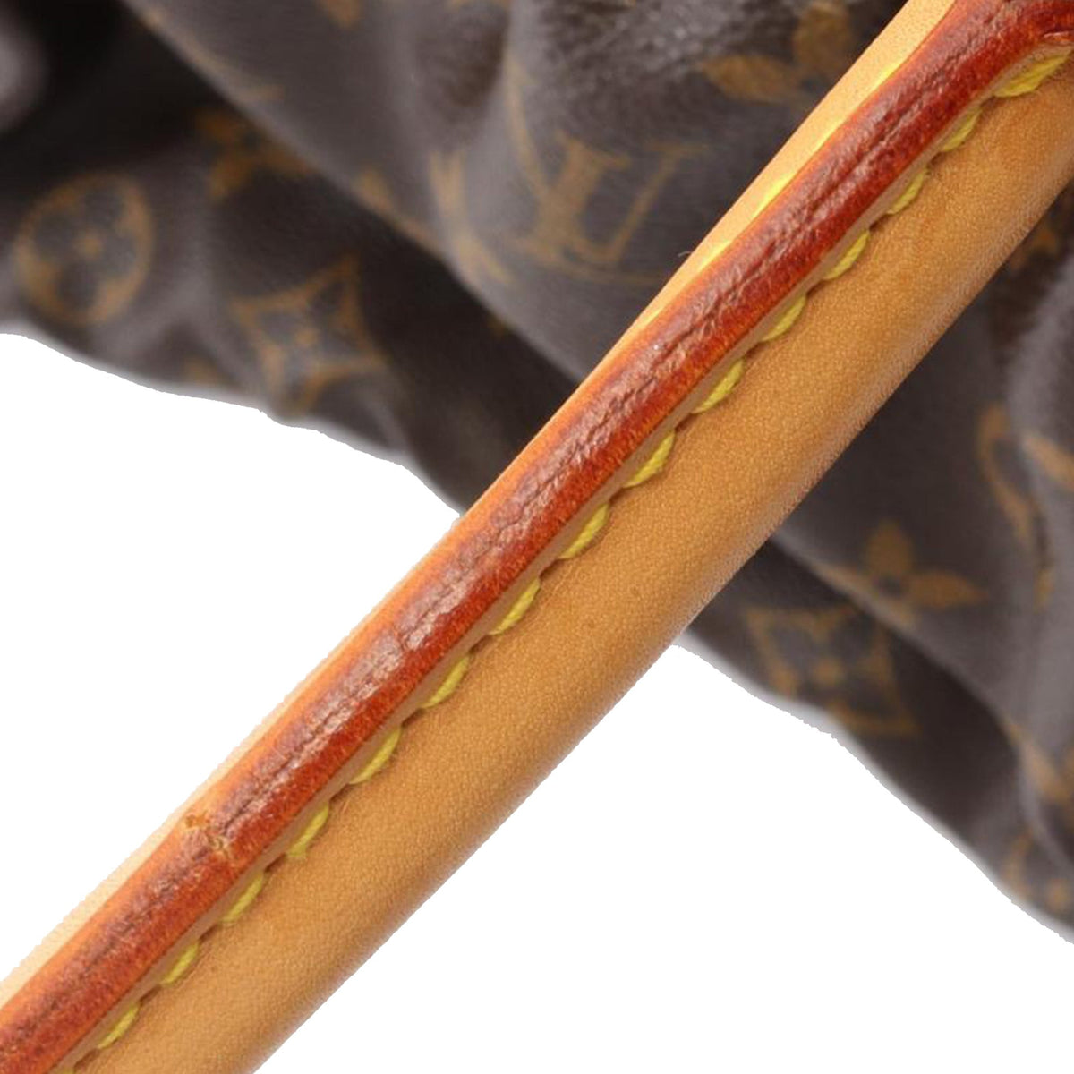 Louis Vuitton Monogram Mizi