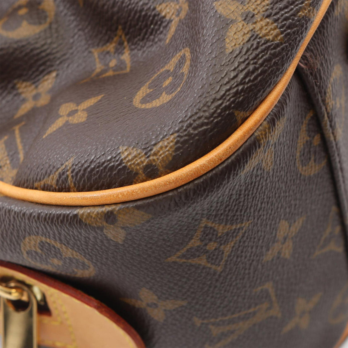 Louis Vuitton Monogram Mizi