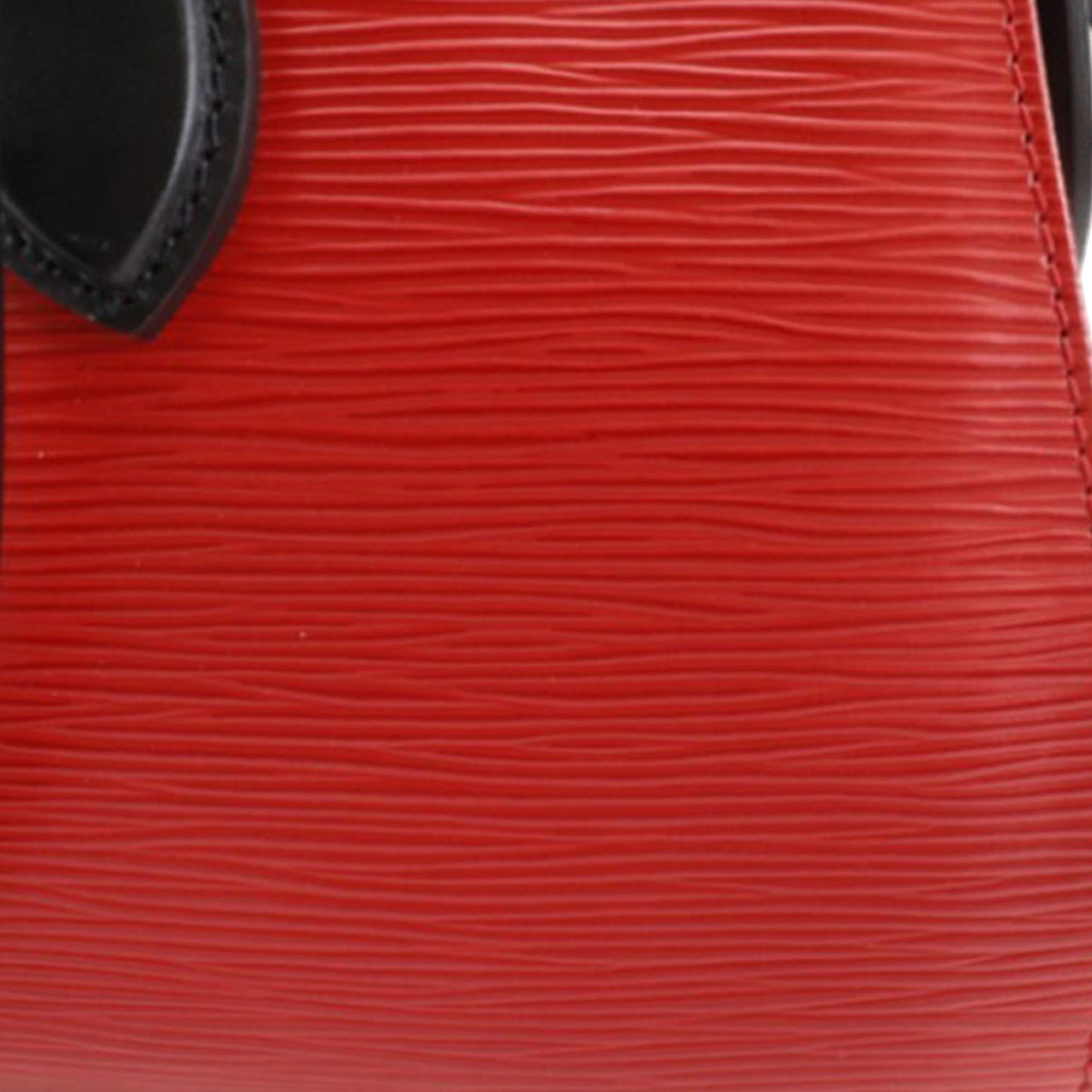 Louis Vuitton Epi Tuileries