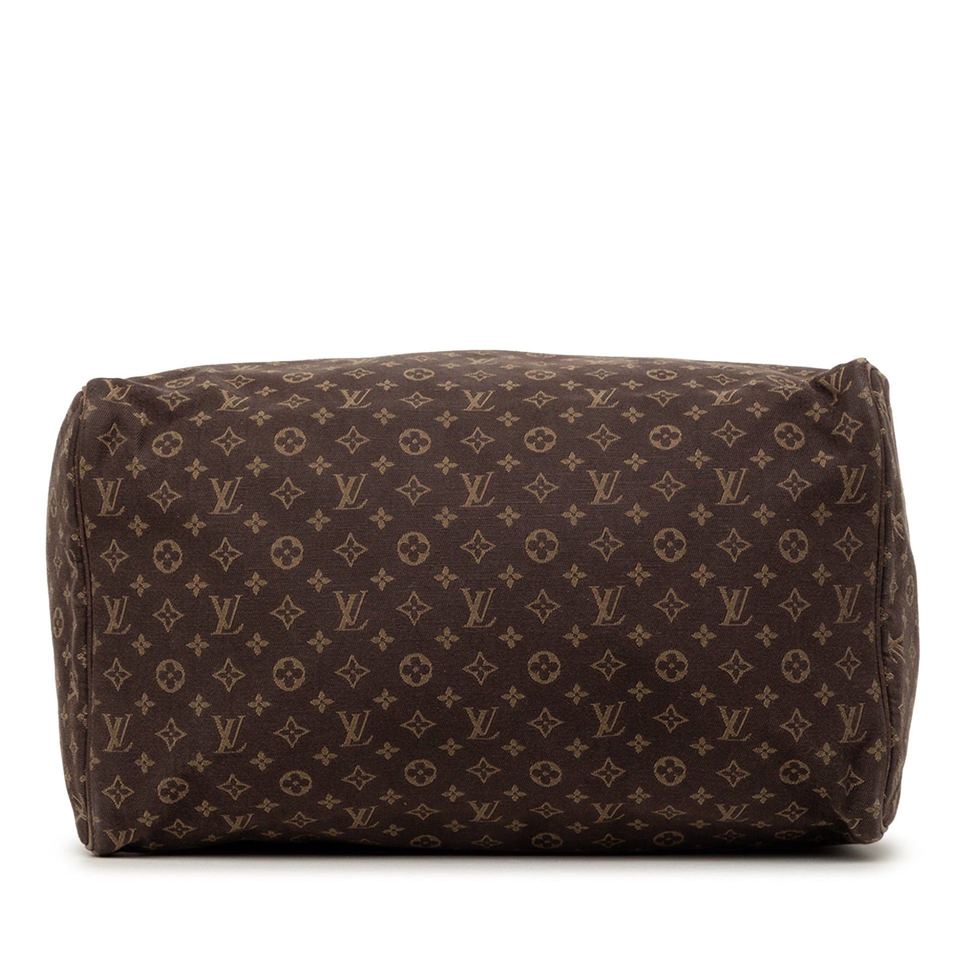 Louis Vuitton Monogram Mini Lin Speedy 30