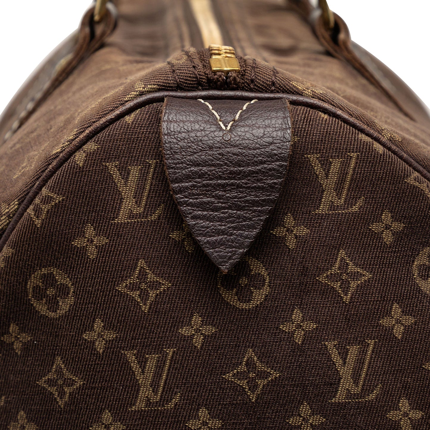 Louis Vuitton Monogram Mini Lin Speedy 30