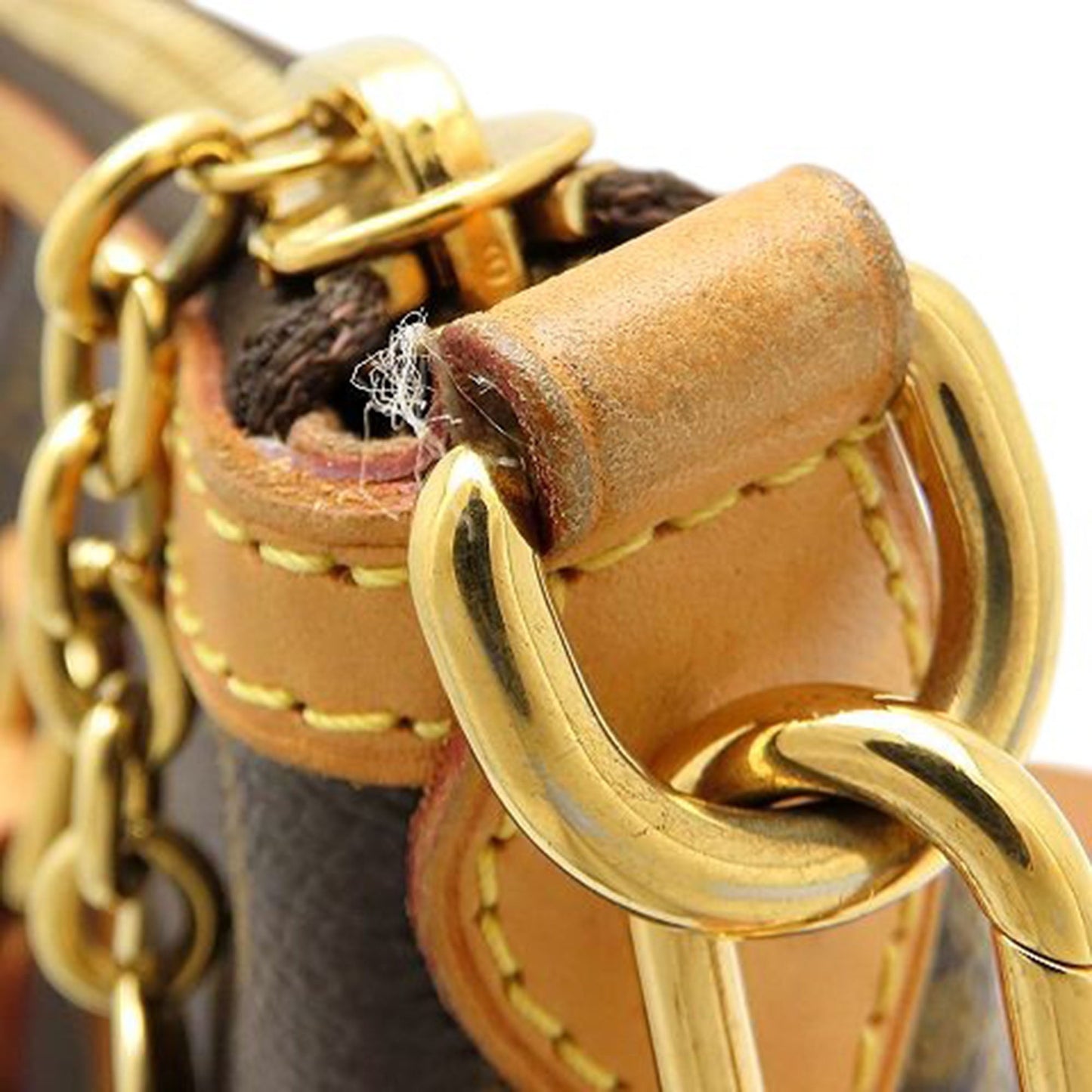 Louis Vuitton Monogram Palermo PM