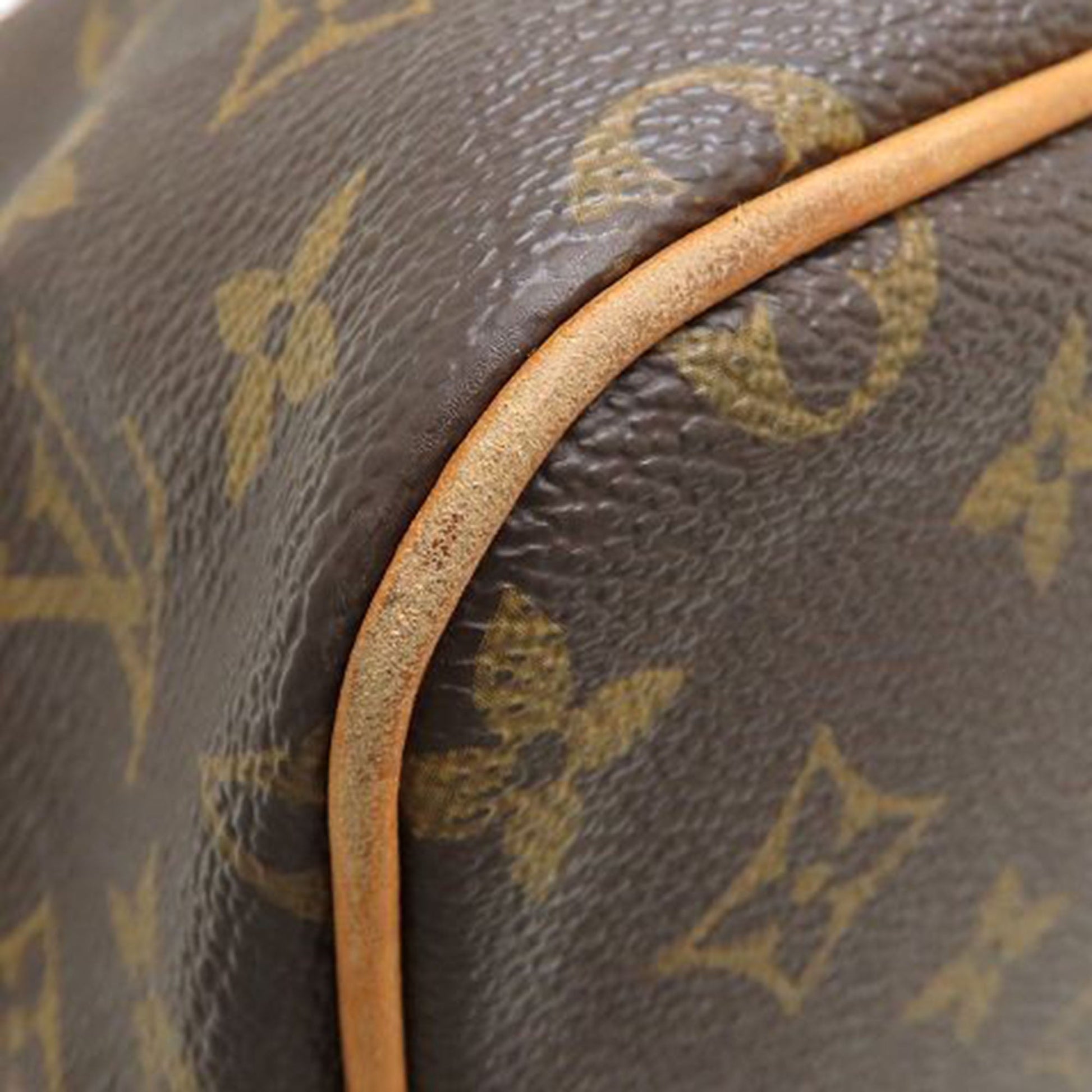 Louis Vuitton Monogram Palermo PM