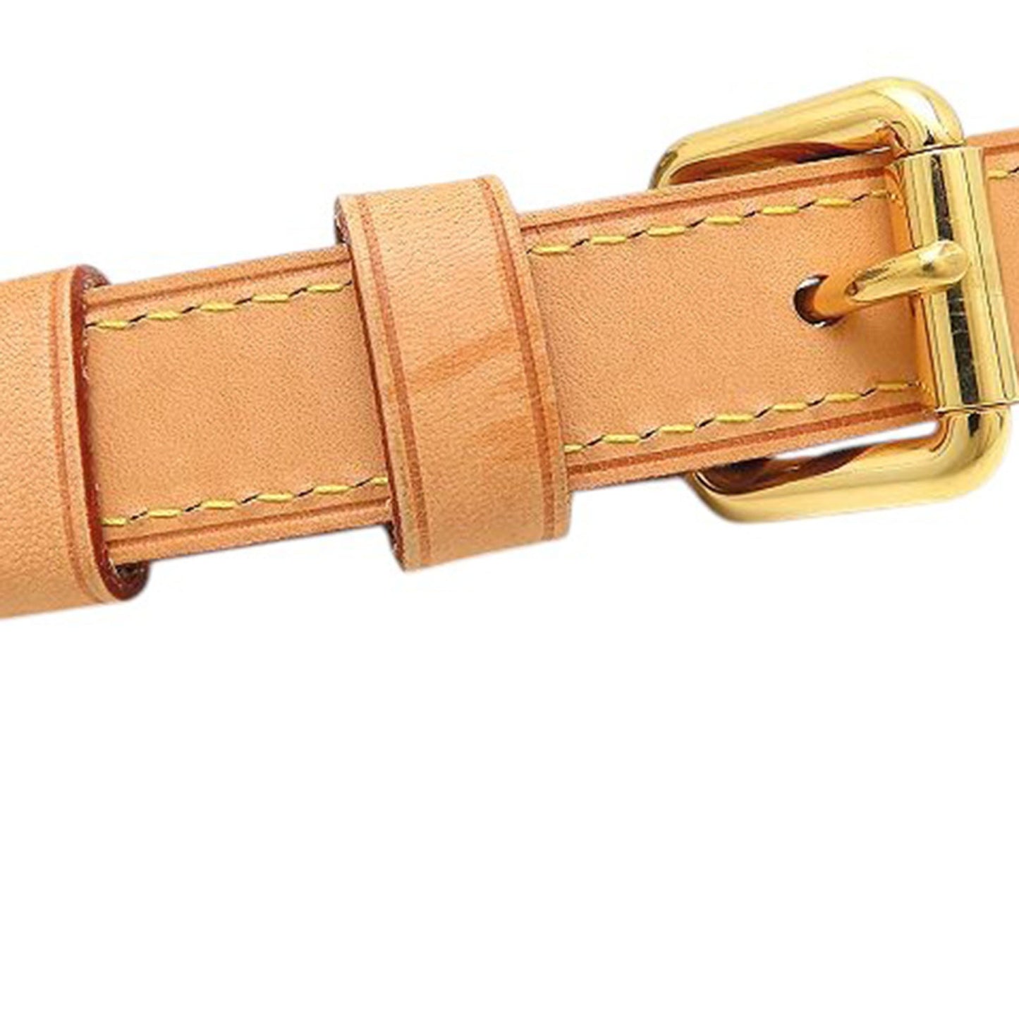 Louis Vuitton Monogram Palermo PM