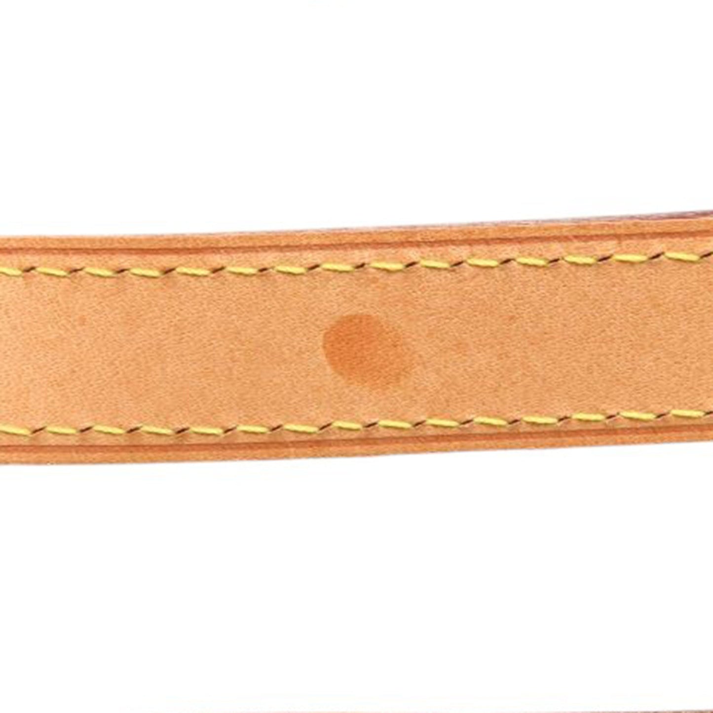 Louis Vuitton Monogram Palermo PM
