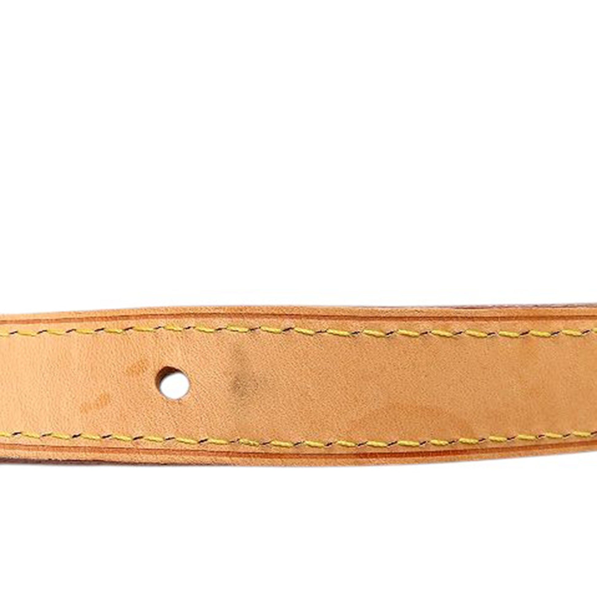 Louis Vuitton Monogram Palermo PM
