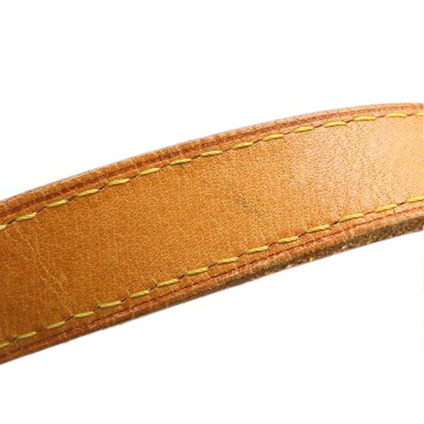 Louis Vuitton Monogram Palermo PM