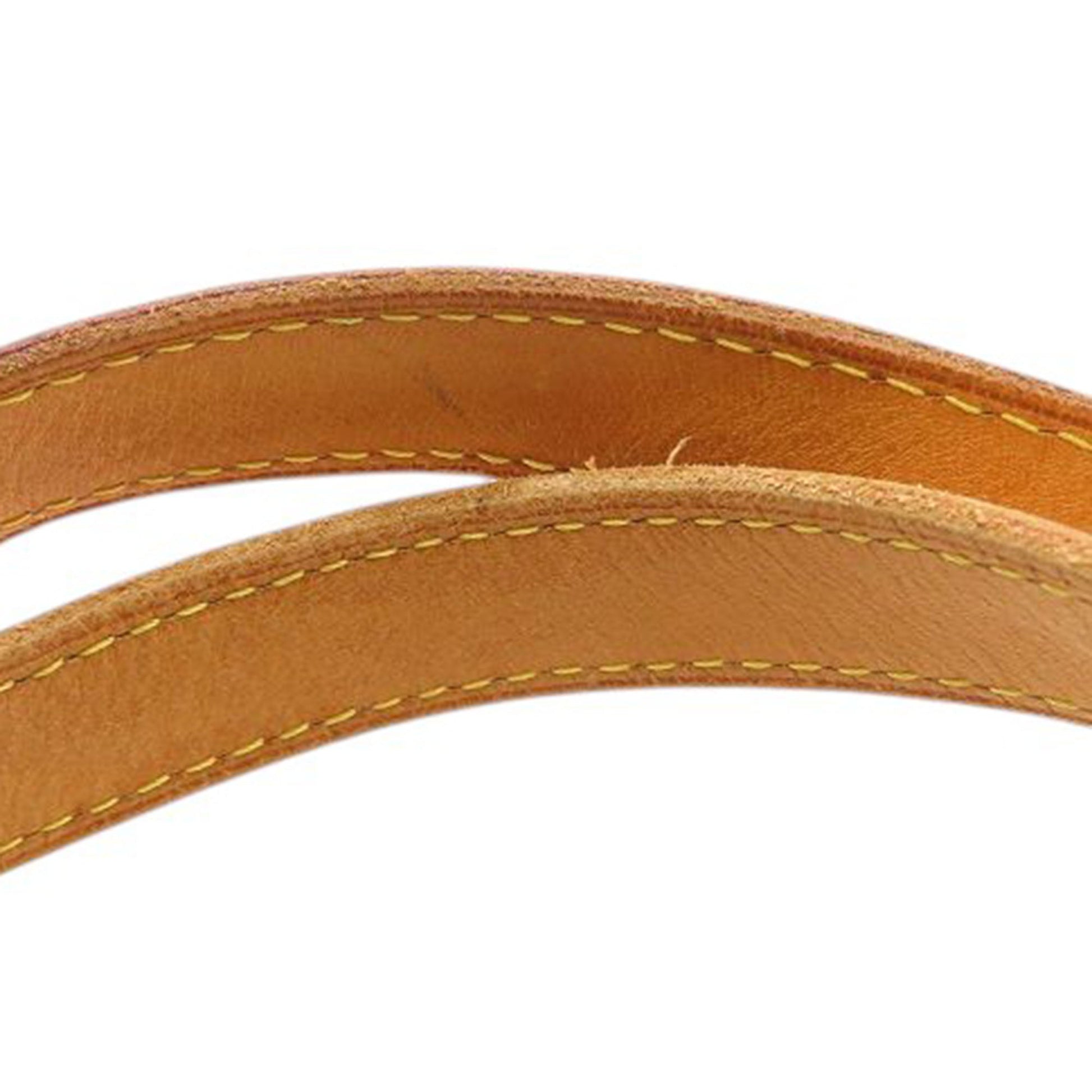 Louis Vuitton Monogram Palermo PM