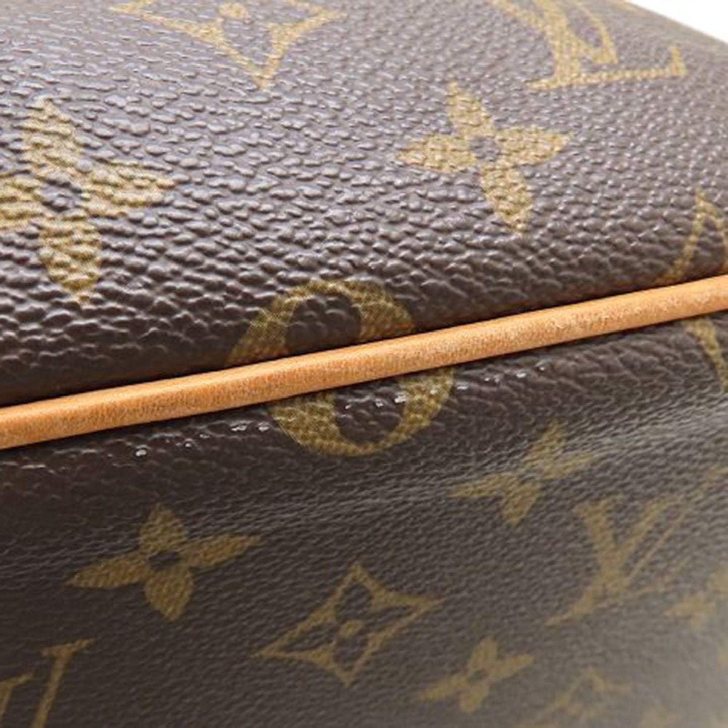Louis Vuitton Monogram Palermo PM