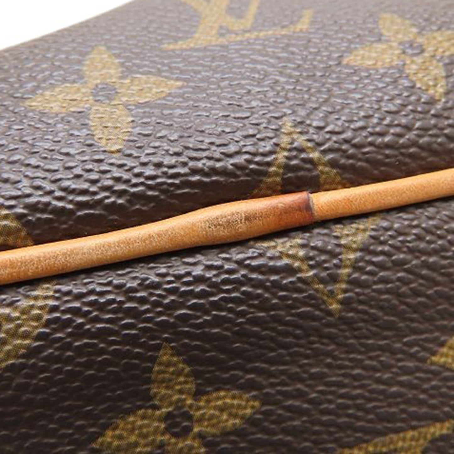 Louis Vuitton Monogram Palermo PM