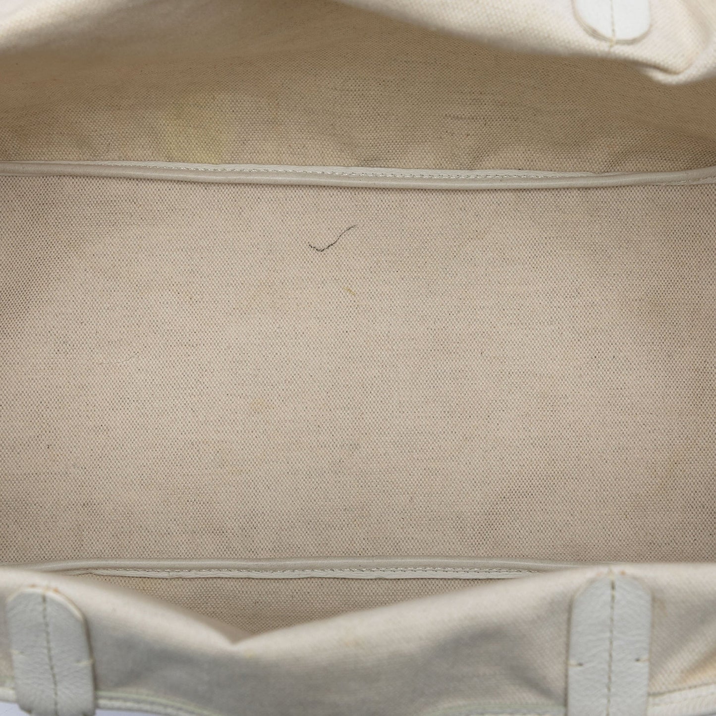 Goyard Goyardine Saint Louis PM