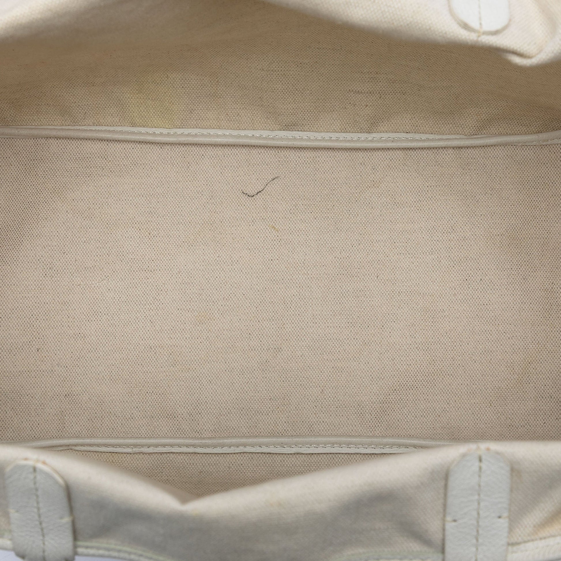Goyard Goyardine Saint Louis PM