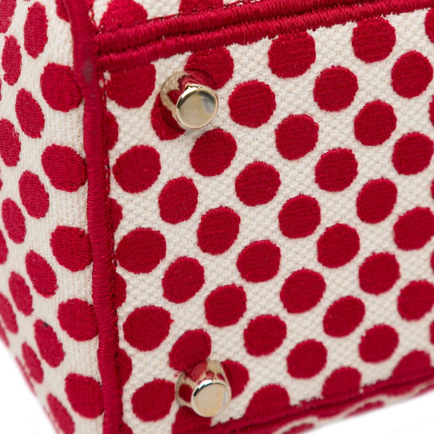 Dior DiorAmour Medium Embroidered Canvas Dots Lady D Lite