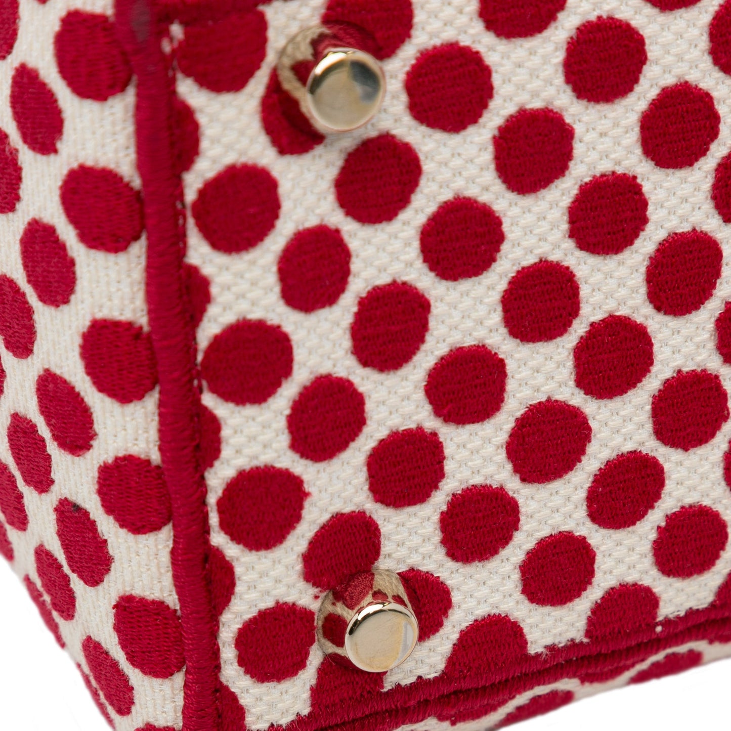 Dior DiorAmour Medium Embroidered Canvas Dots Lady D Lite