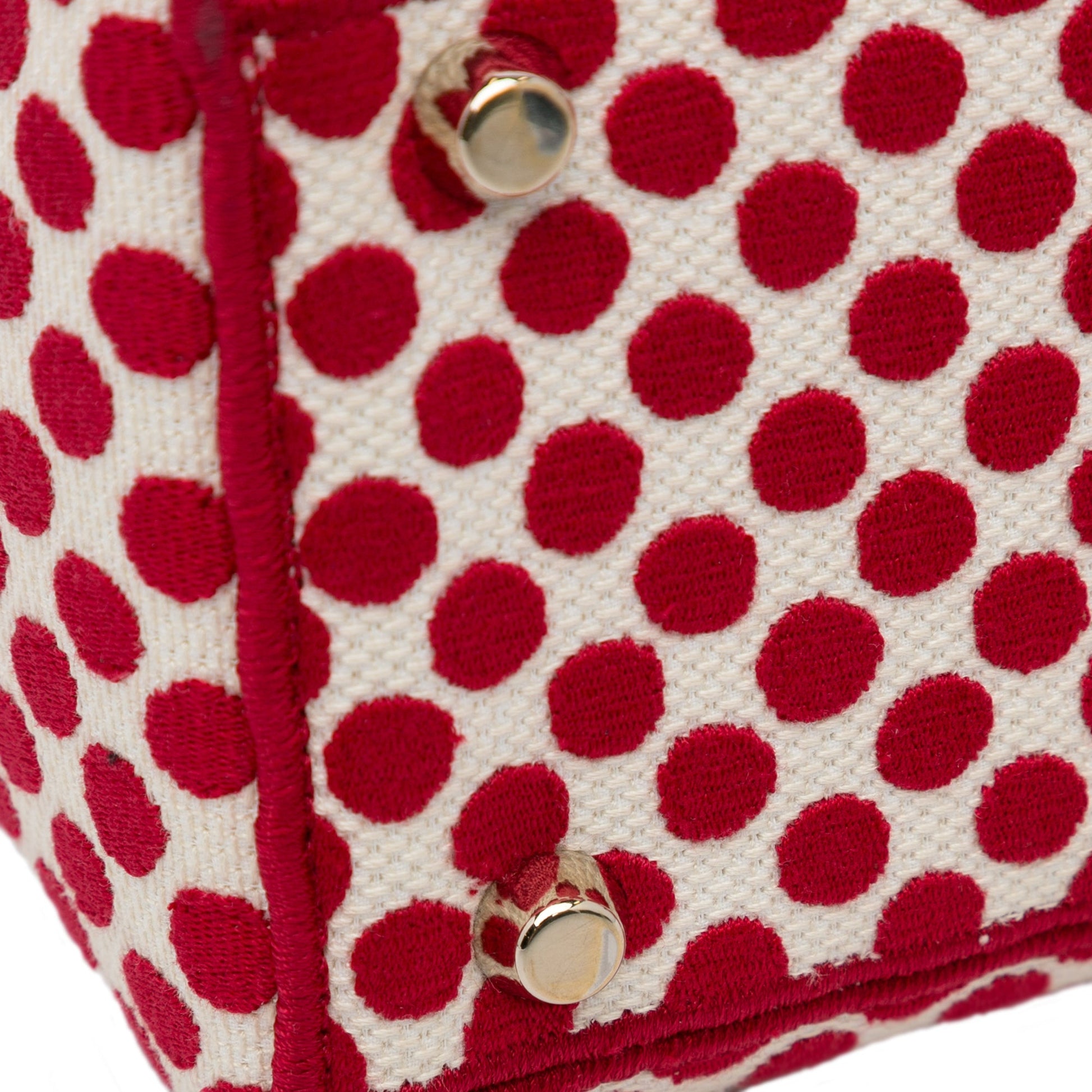 Dior DiorAmour Medium Embroidered Canvas Dots Lady D Lite