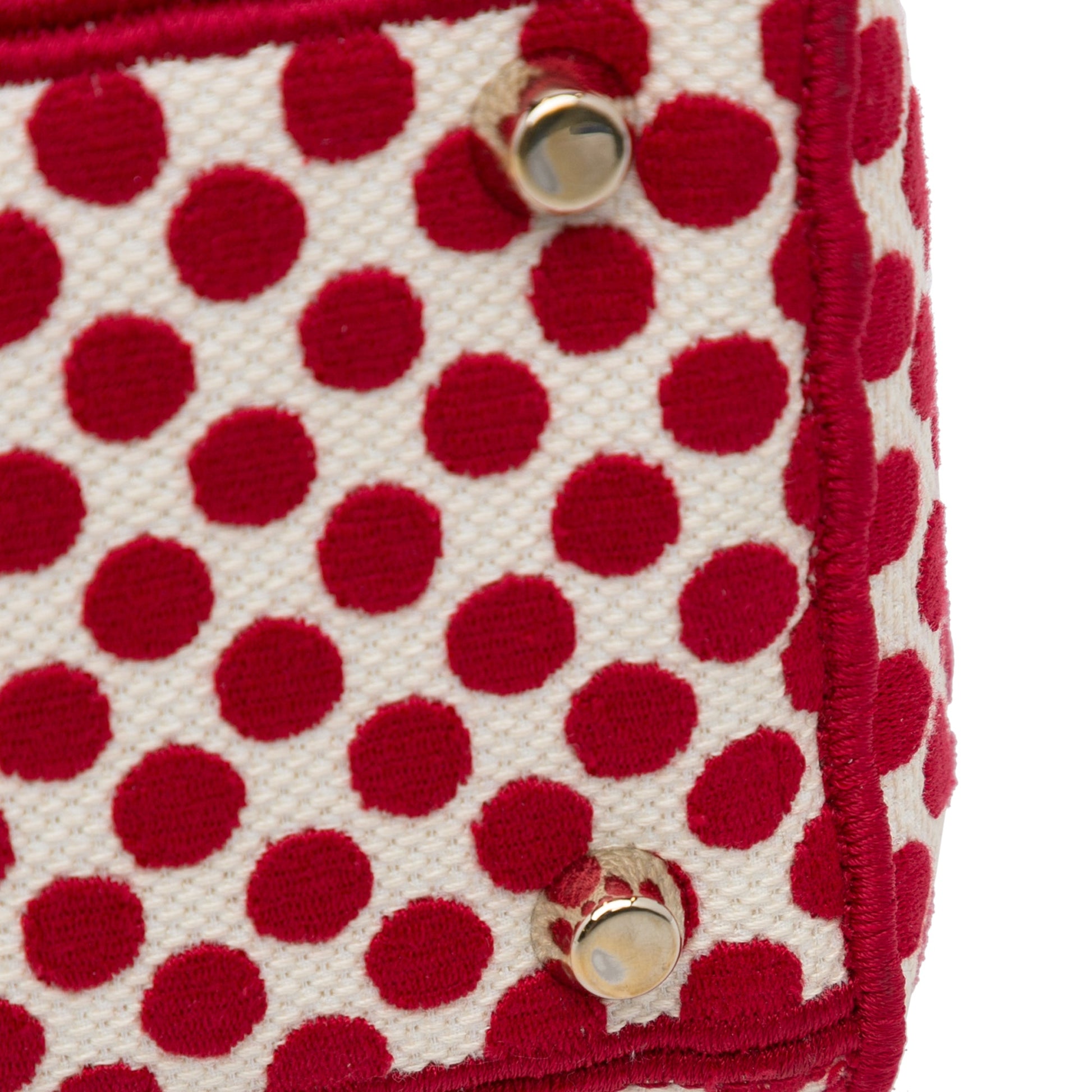 Dior DiorAmour Medium Embroidered Canvas Dots Lady D Lite