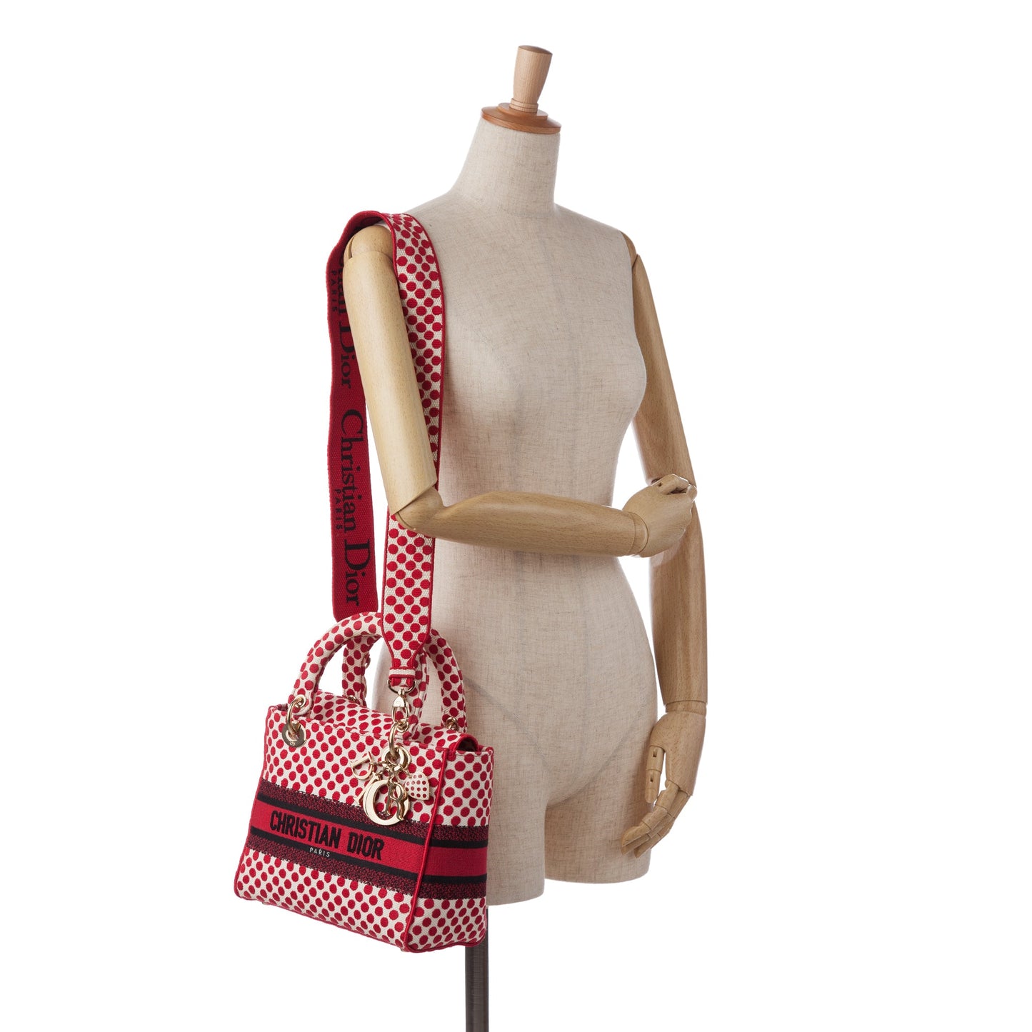 Dior DiorAmour Medium Embroidered Canvas Dots Lady D Lite