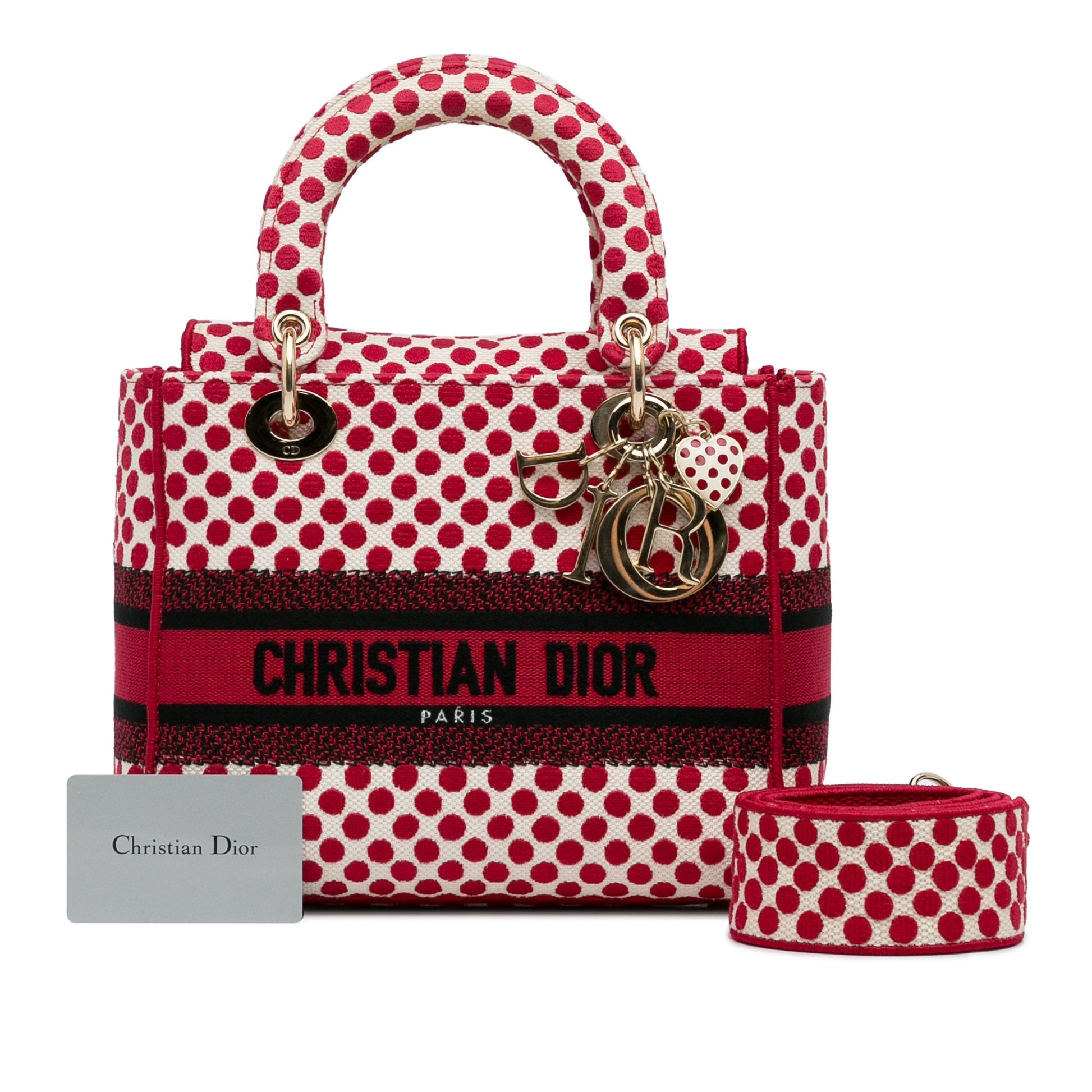 Dior DiorAmour Medium Embroidered Canvas Dots Lady D Lite