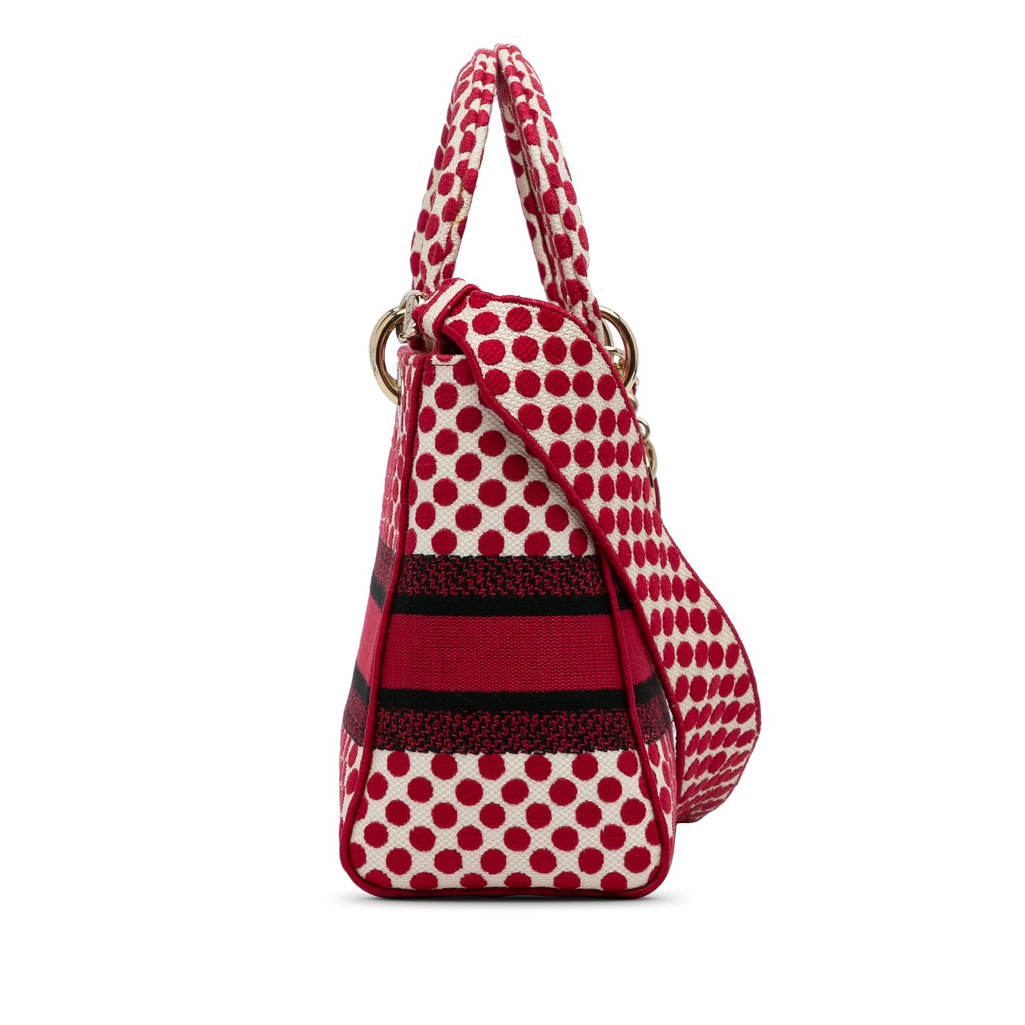 Dior DiorAmour Medium Embroidered Canvas Dots Lady D Lite