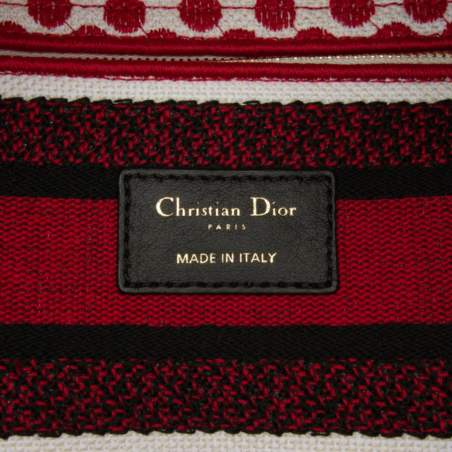 Dior DiorAmour Medium Embroidered Canvas Dots Lady D Lite