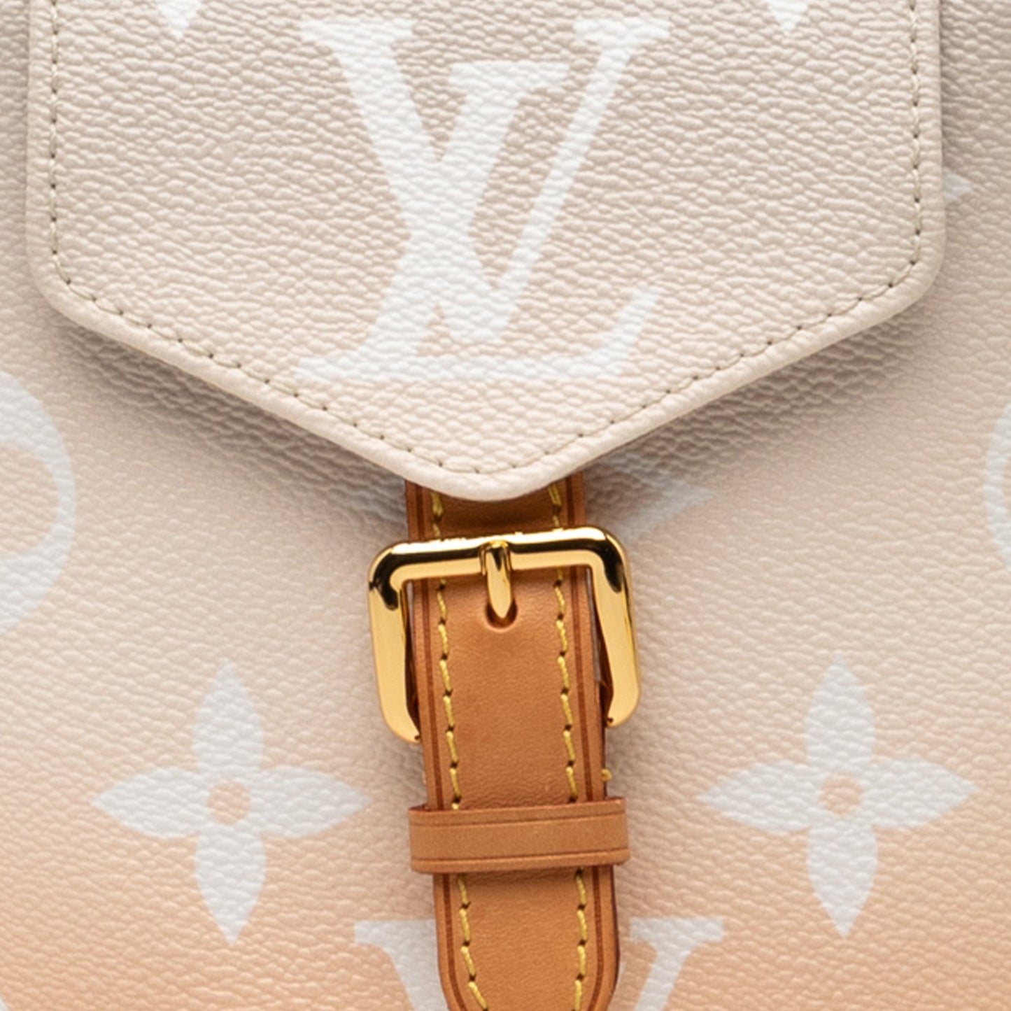 Louis Vuitton Monogram Giant By The Pool Tiny Backpack