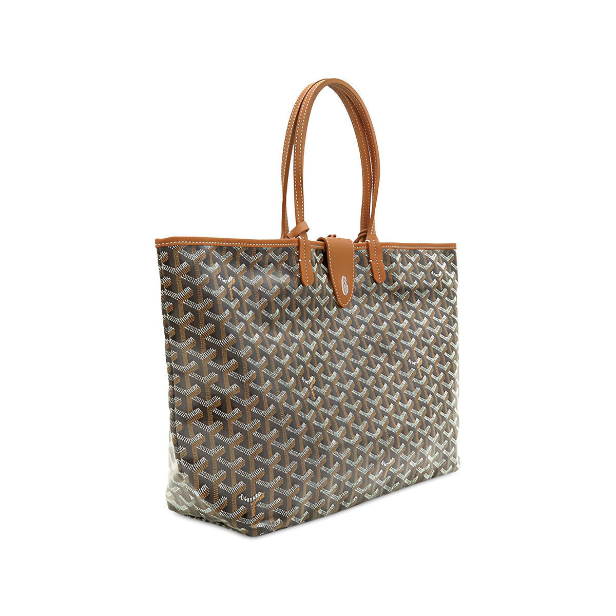 Goyard Goyardine Saint Louis PM — Black