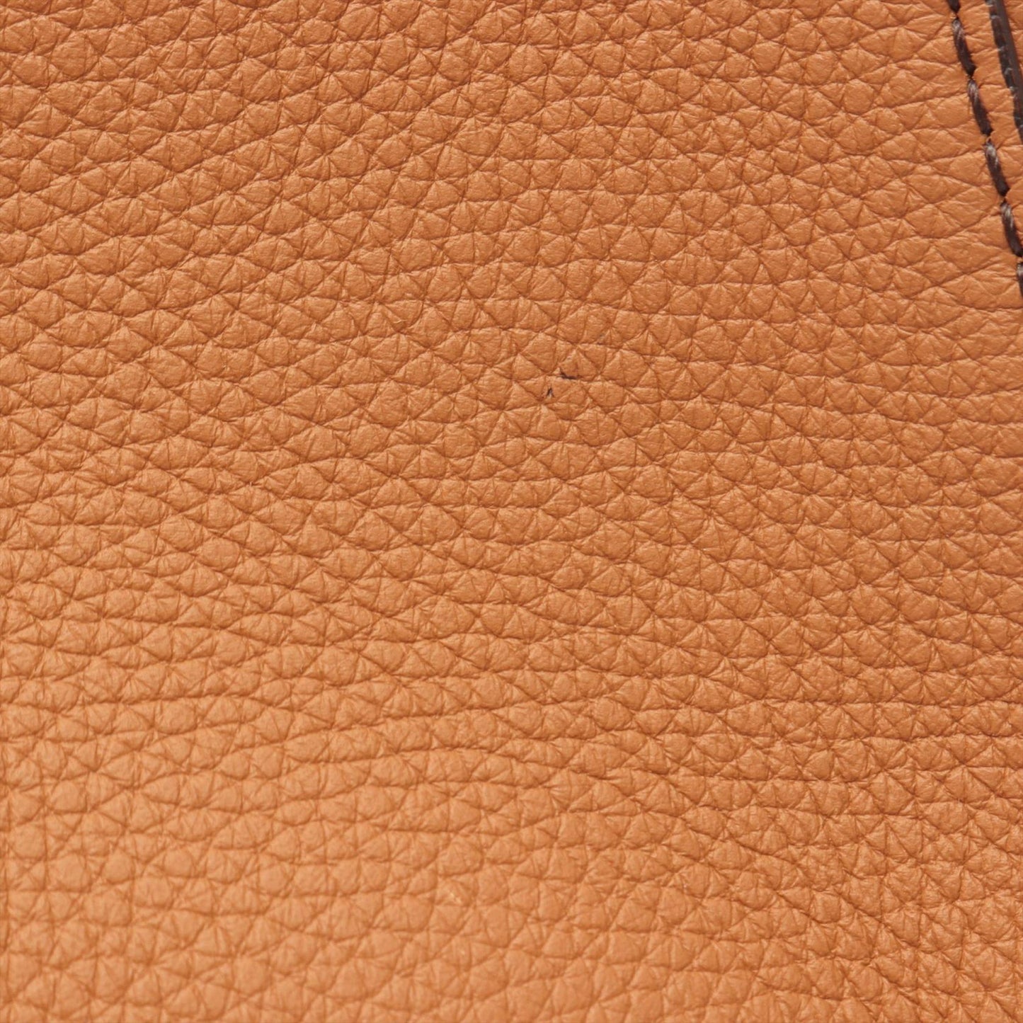 Dior Large Grained Calfskin Lady D Sire