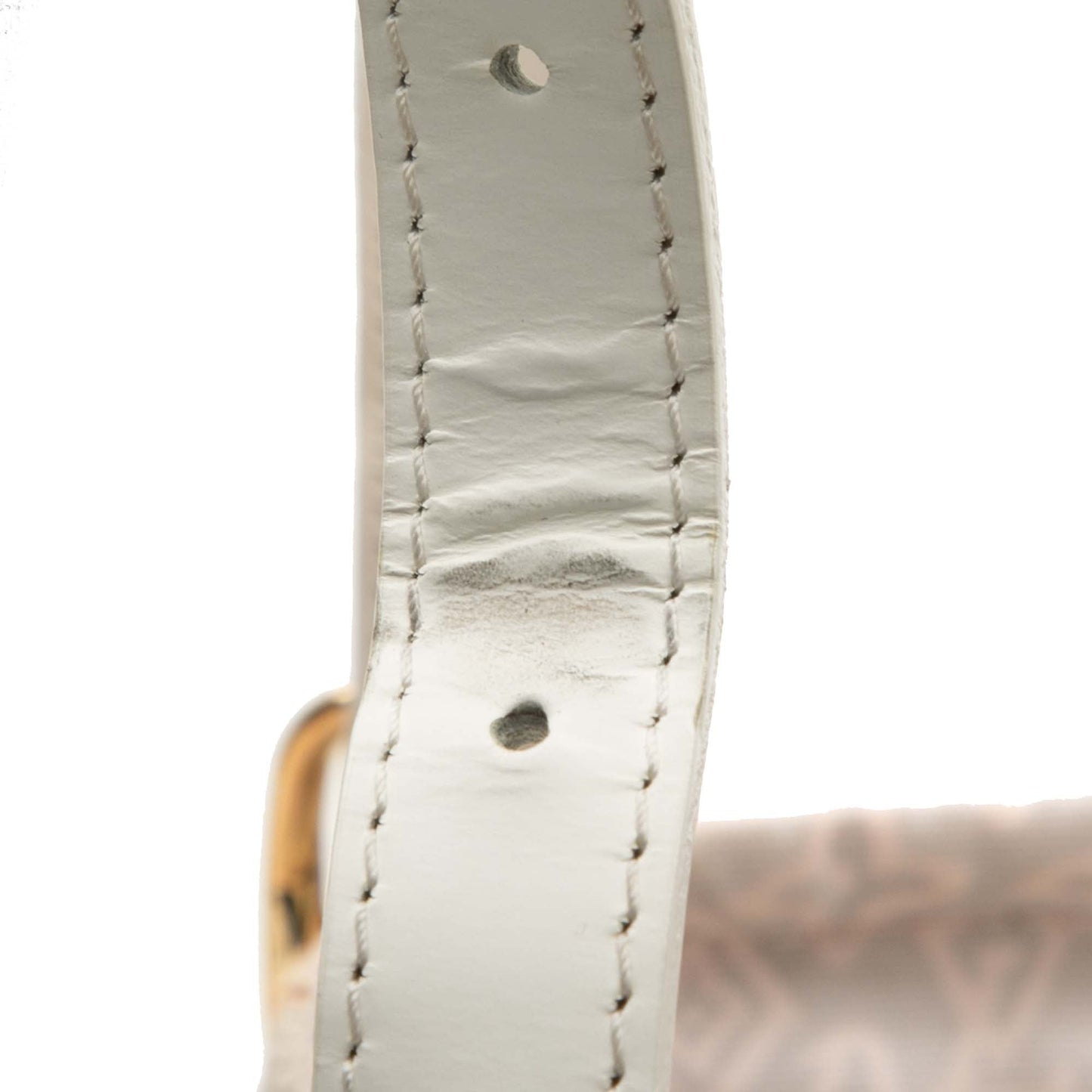 Louis Vuitton Monogram Tahitienne Cabas PM
