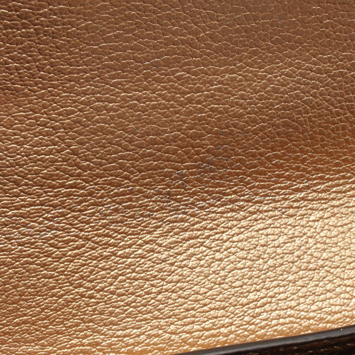 Miu Miu Leather Sound Lock Crossbody — Beige