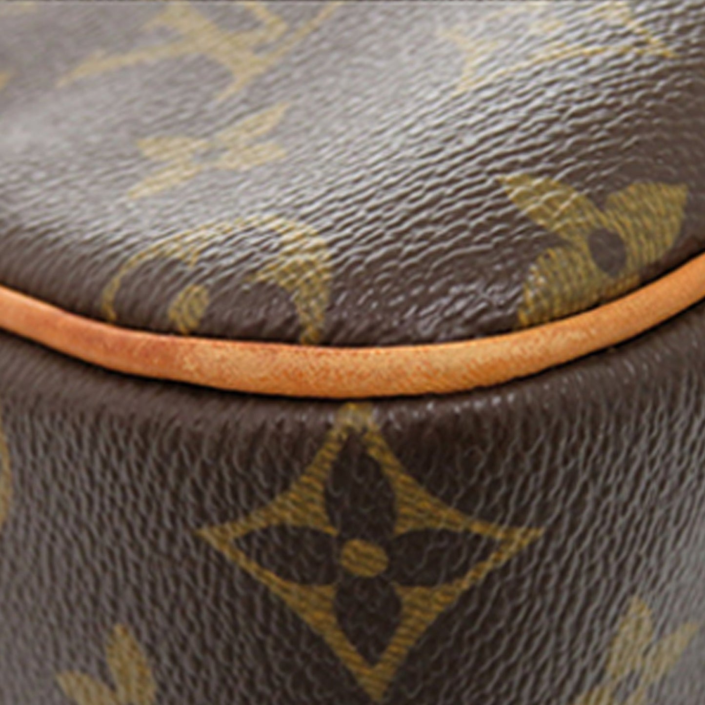 Monogram Viva Cite GM