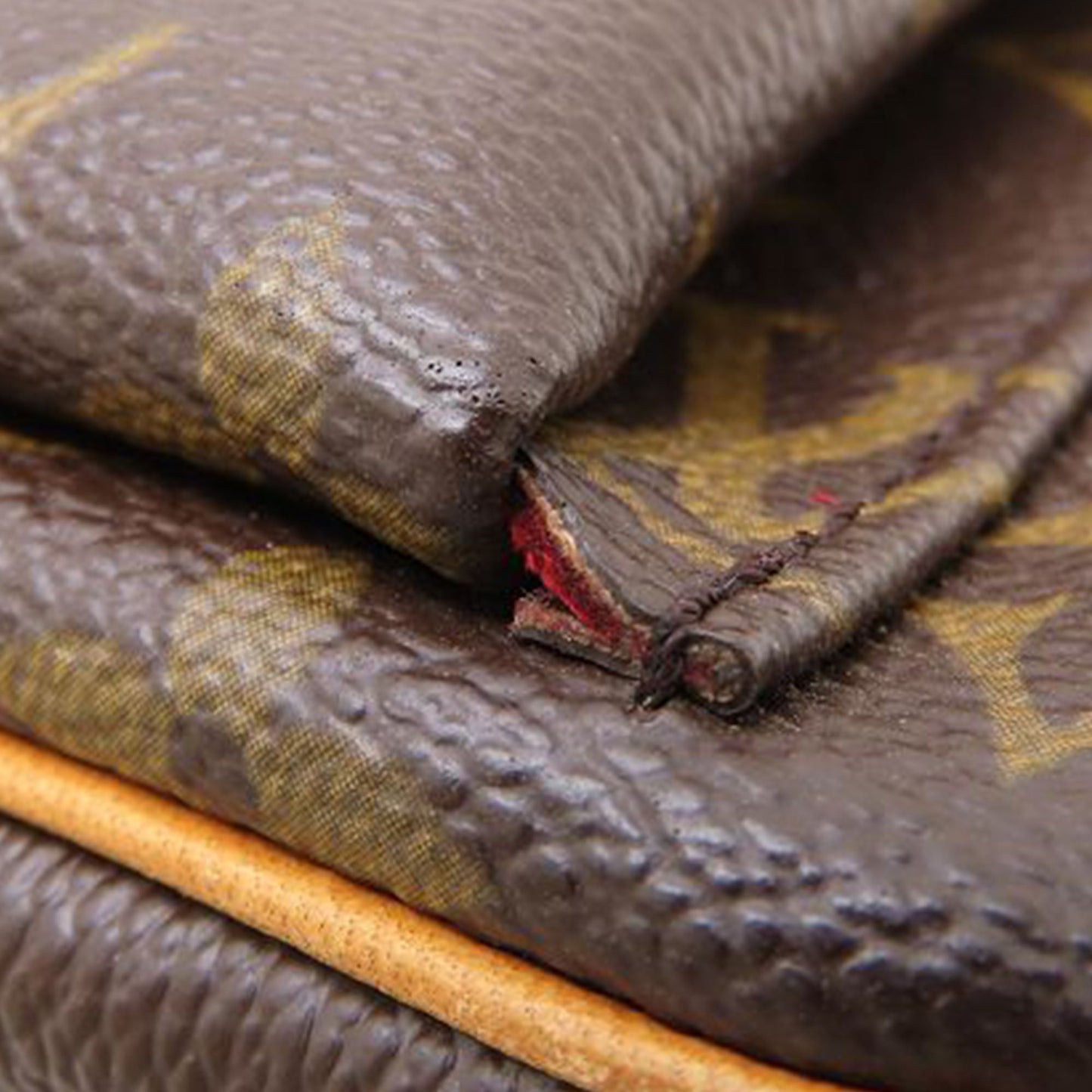 Louis Vuitton Monogram Viva Cite PM