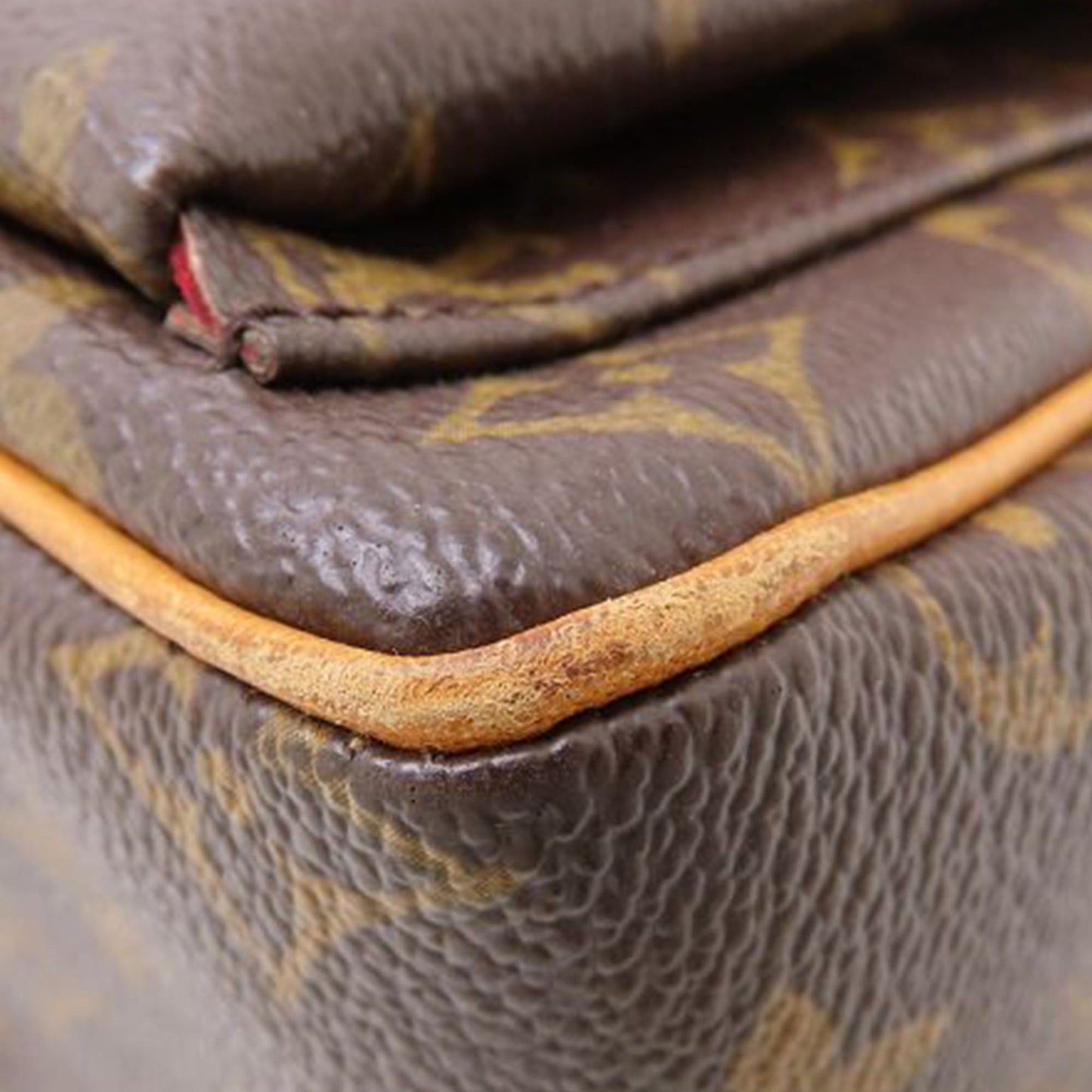 Louis Vuitton Monogram Viva Cite PM