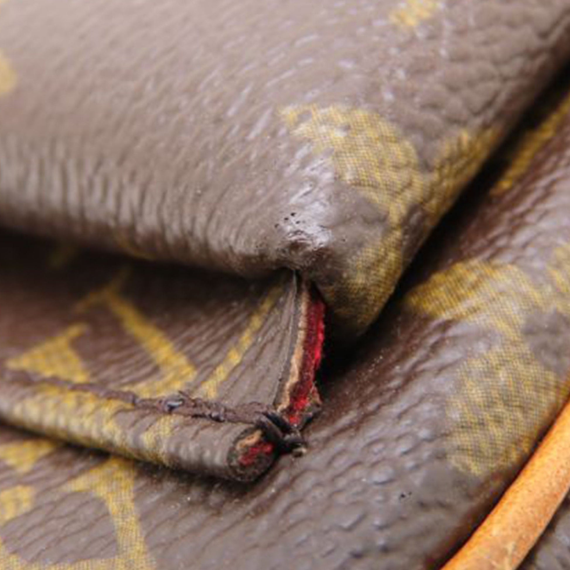 Louis Vuitton Monogram Viva Cite PM
