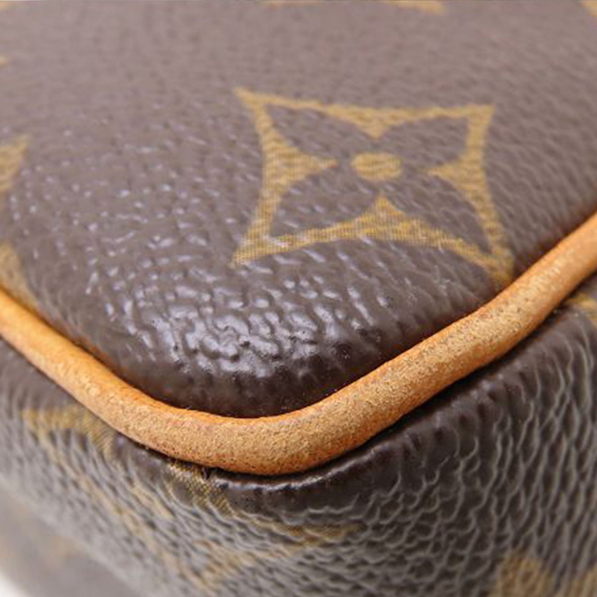 Louis Vuitton Monogram Viva Cite PM