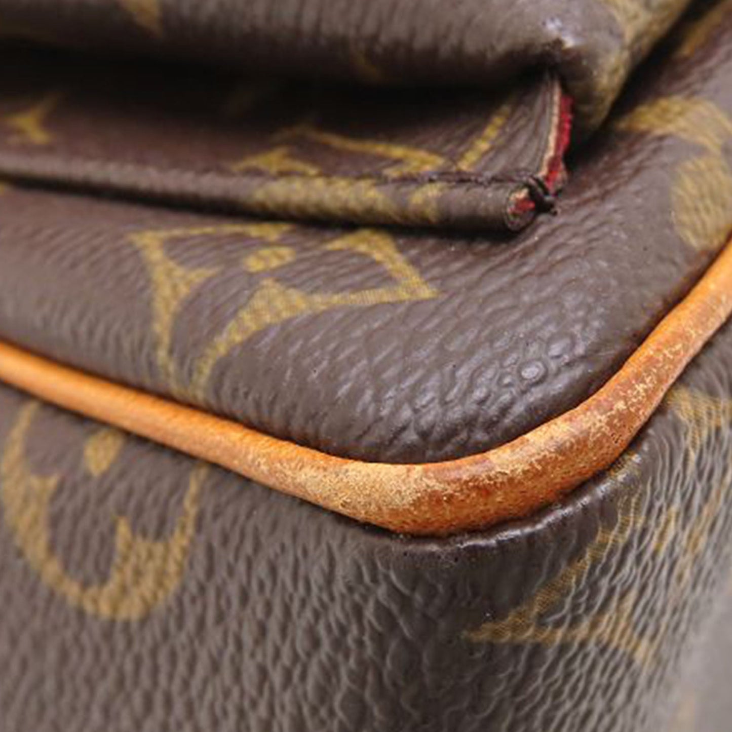 Louis Vuitton Monogram Viva Cite PM