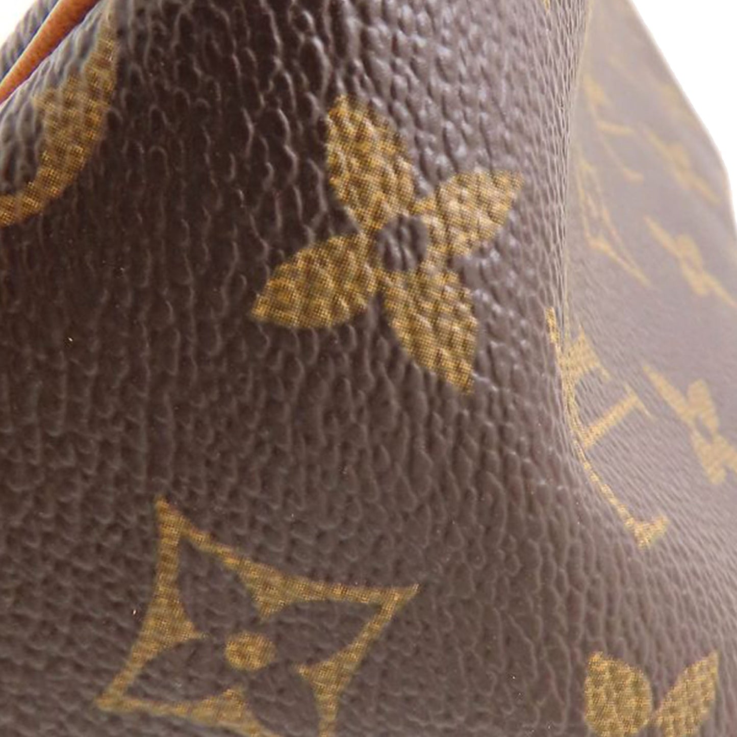 Louis Vuitton Monogram Viva Cite PM