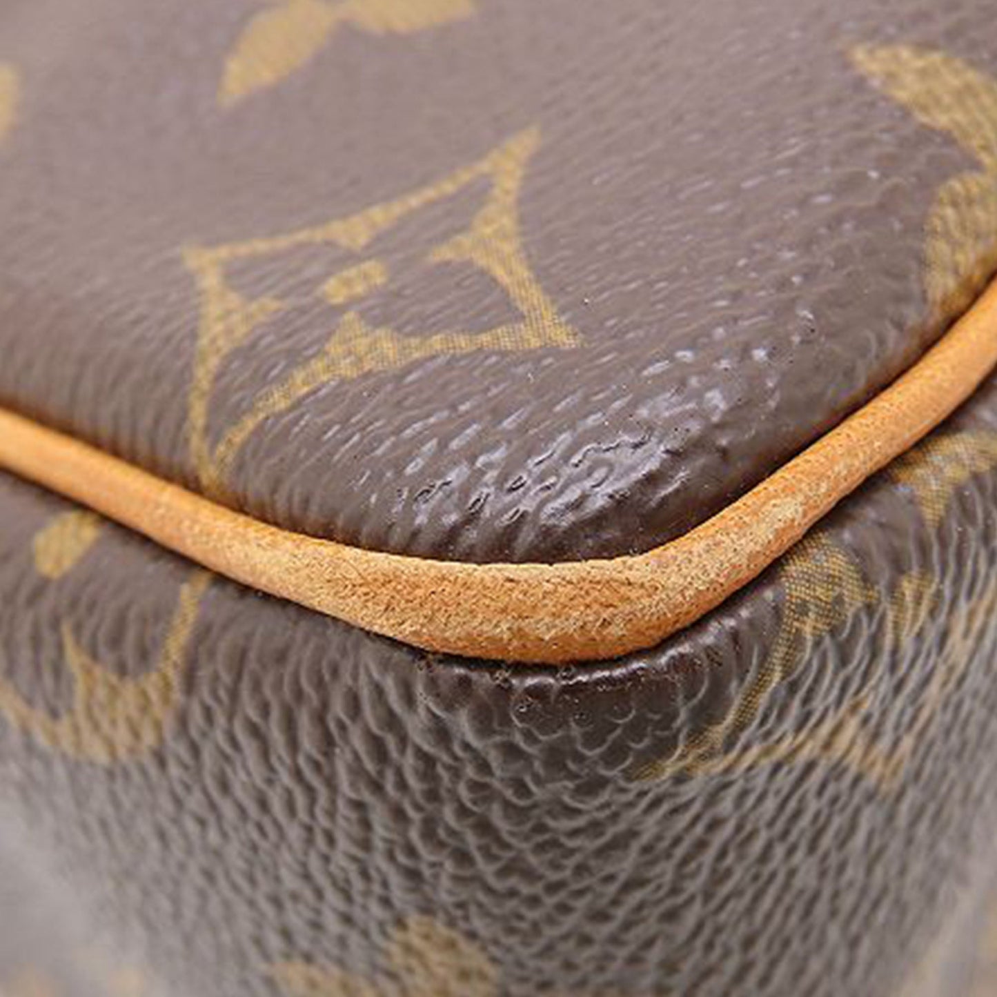 Louis Vuitton Monogram Viva Cite PM