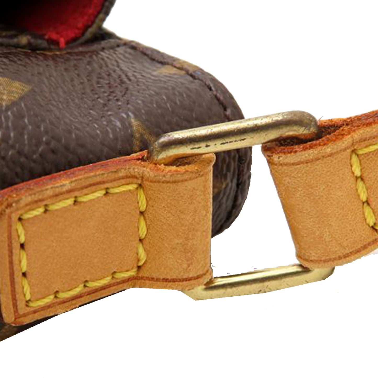 Louis Vuitton Monogram Viva Cite PM