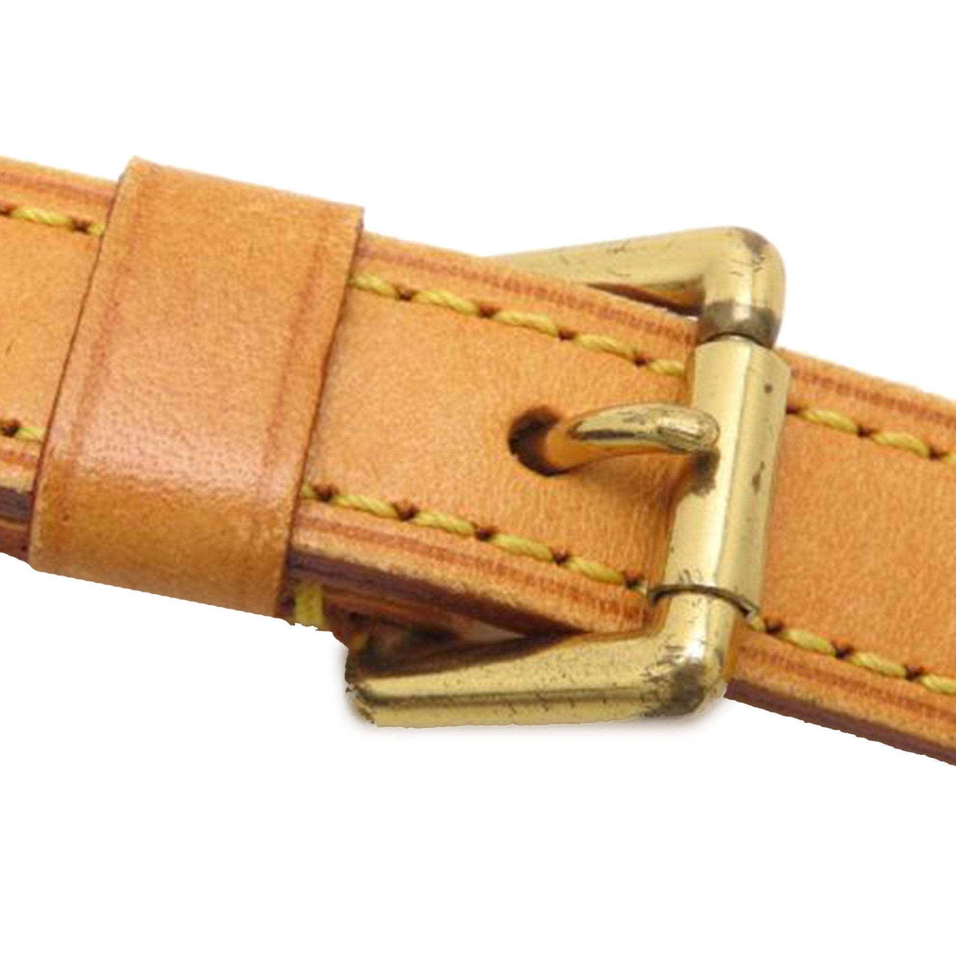 Louis Vuitton Monogram Viva Cite PM