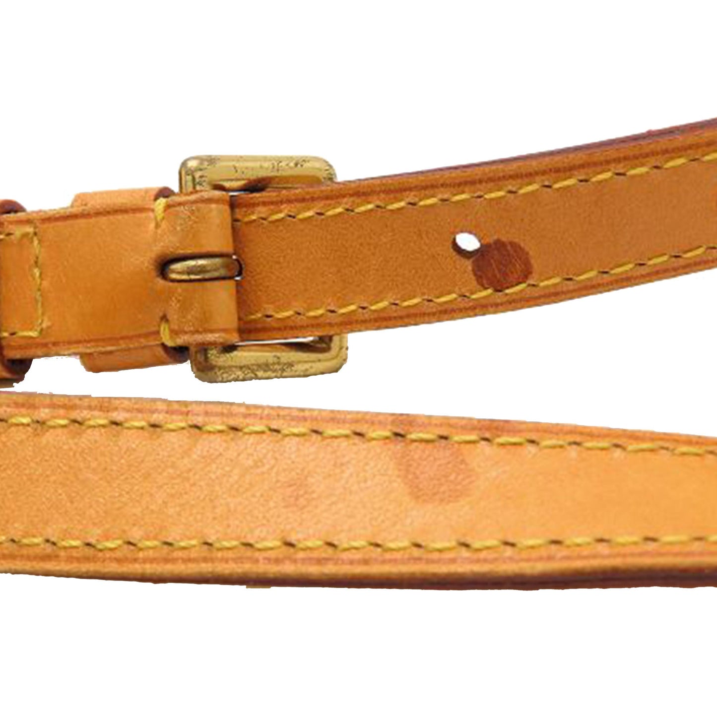 Louis Vuitton Monogram Viva Cite PM