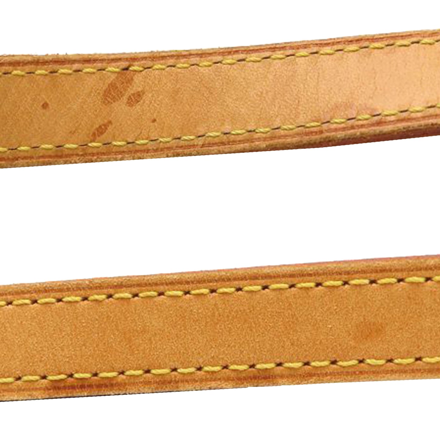 Louis Vuitton Monogram Viva Cite PM