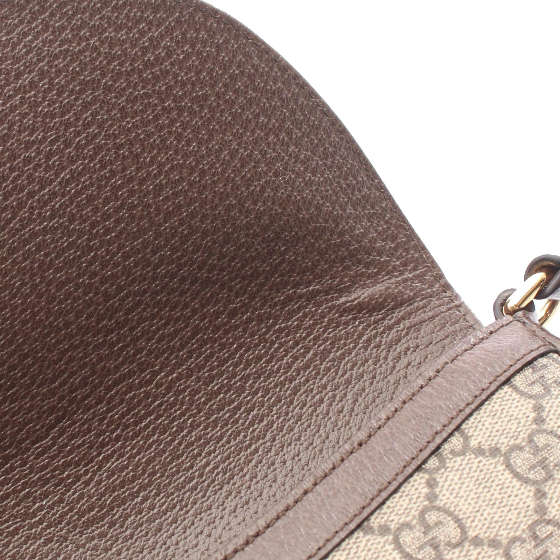Gucci Small GG Supreme Web Ophidia Crossbody