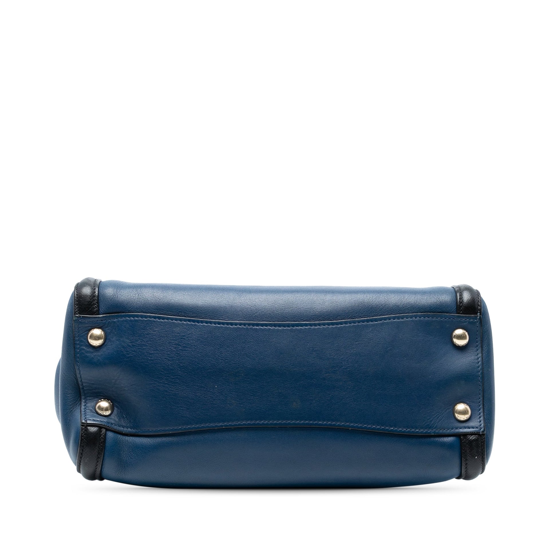 Bicolor Saffiano Trimmed City Calf Double Zip Satchel